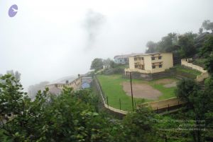 20080708 DSC 0508 CMP WM.jpg