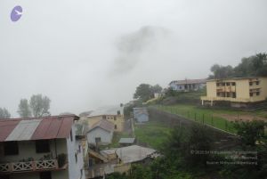 20080708 DSC 0511 CMP WM.jpg