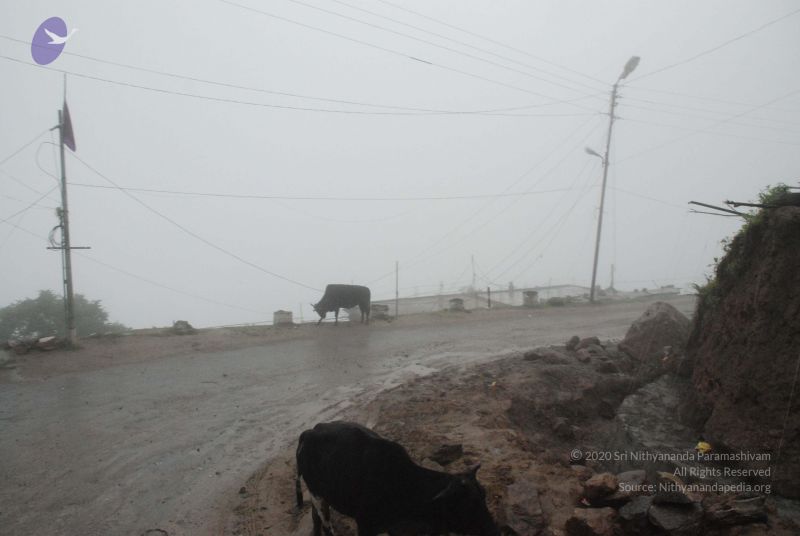 File:20080708 DSC 0514 CMP WM.jpg