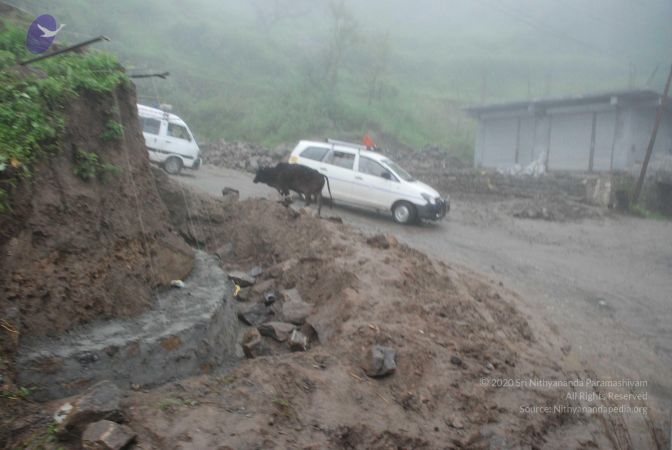 20080708 DSC 0517 CMP WM.jpg