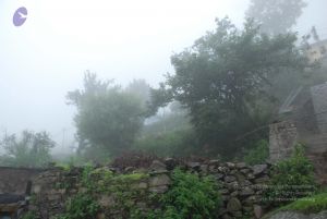 20080708 DSC 0519 CMP WM.jpg