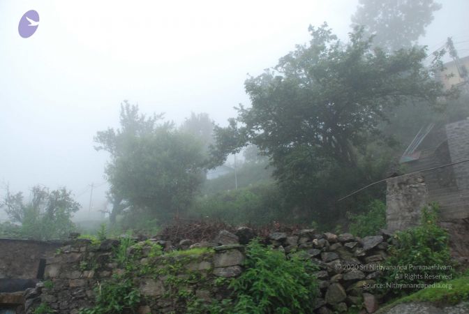 20080708 DSC 0519 CMP WM.jpg