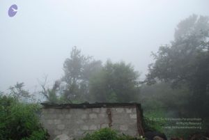 20080708 DSC 0520 CMP WM.jpg