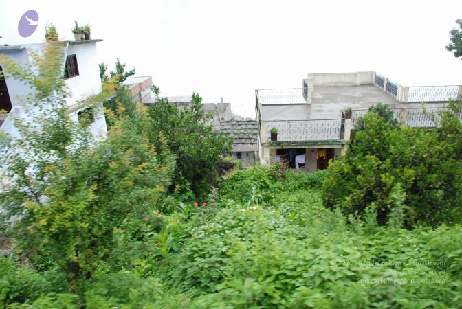 20080708 DSC 0530 CMP WM.jpg