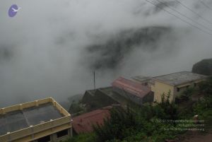 20080708 DSC 0540 CMP WM.jpg