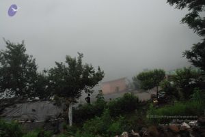 20080708 DSC 0543 CMP WM.jpg