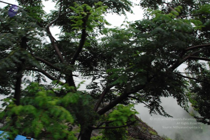 File:20080708 DSC 0546 CMP WM.jpg