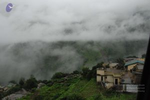 20080708 DSC 0547 CMP WM.jpg