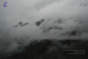 20080708 DSC 0552 CMP WM.jpg