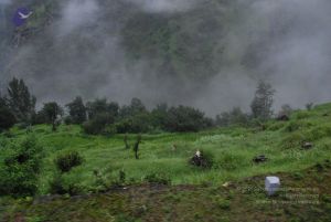 20080708 DSC 0554 CMP WM.jpg