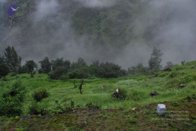 20080708 DSC 0554 CMP WM.jpg