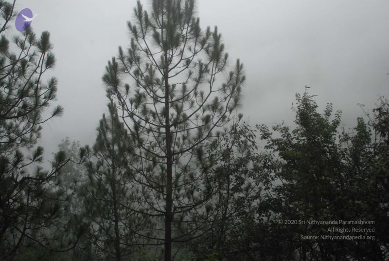 File:20080708 DSC 0564 CMP WM.jpg