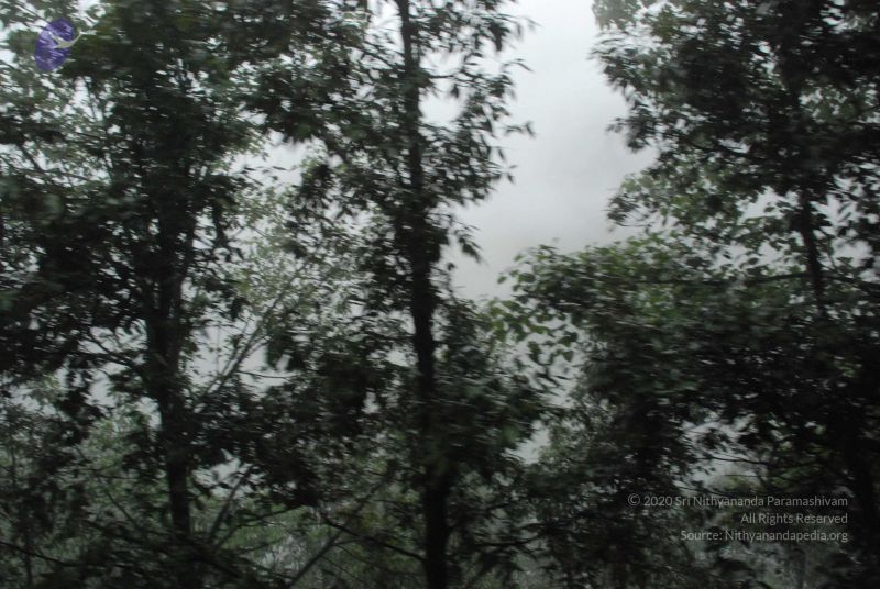 File:20080708 DSC 0565 CMP WM.jpg