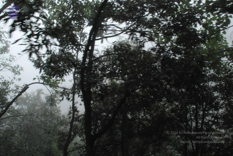 File:20080708 DSC 0569 CMP WM.jpg