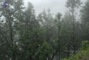 20080708 DSC 0570 CMP WM.jpg