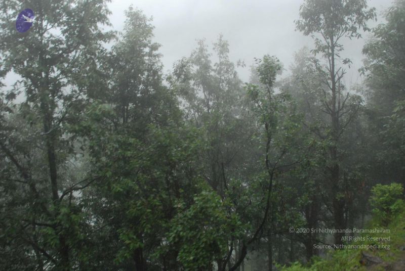 File:20080708 DSC 0570 CMP WM.jpg