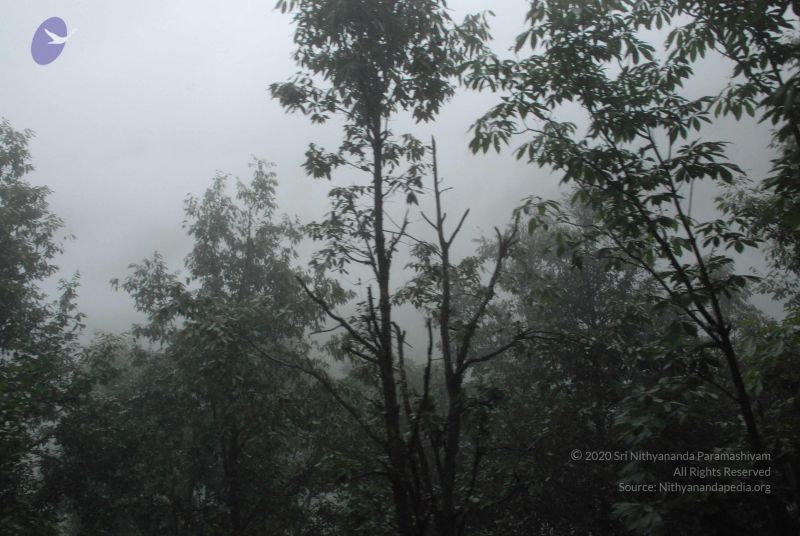 File:20080708 DSC 0571 CMP WM.jpg