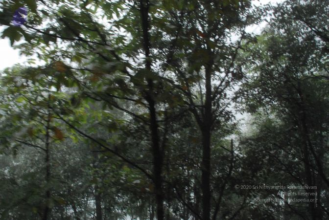 20080708 DSC 0572 CMP WM.jpg