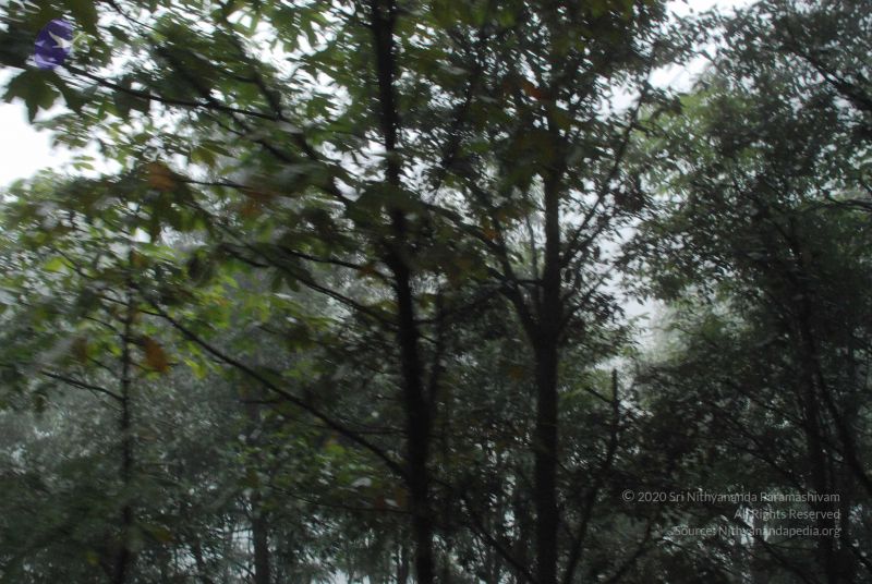 File:20080708 DSC 0572 CMP WM.jpg