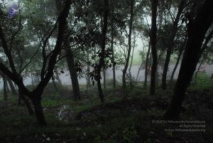 20080708 DSC 0573 CMP WM.jpg