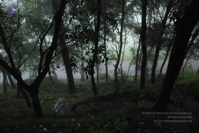 20080708 DSC 0573 CMP WM.jpg