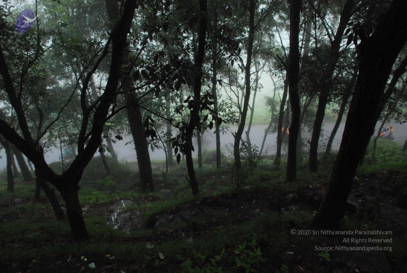 File:20080708 DSC 0573 CMP WM.jpg