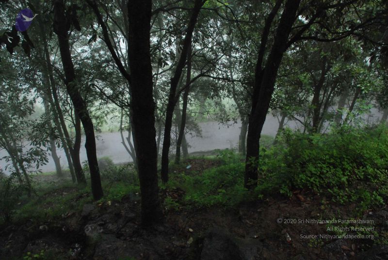 File:20080708 DSC 0575 CMP WM.jpg