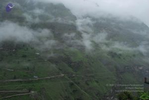 20080708 DSC 0587 CMP WM.jpg