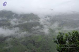 20080708 DSC 0595 CMP WM.jpg