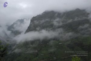 20080708 DSC 0596 CMP WM.jpg