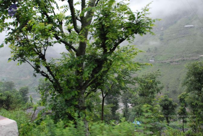 20080708 DSC 0597 CMP WM.jpg