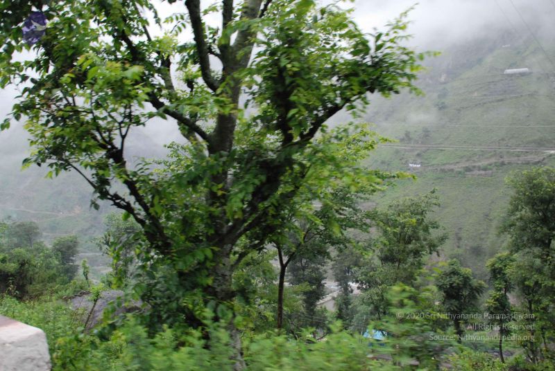 File:20080708 DSC 0597 CMP WM.jpg