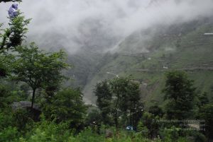 20080708 DSC 0598 CMP WM.jpg