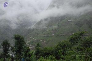 20080708 DSC 0600 CMP WM.jpg