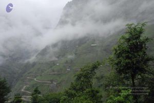 20080708 DSC 0601 CMP WM.jpg