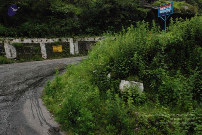 20080708 DSC 0605 CMP WM.jpg