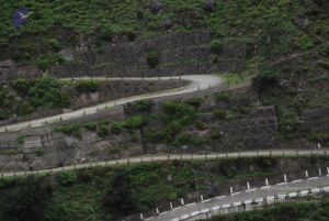 20080708 DSC 0616 CMP WM.jpg