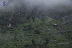 20080708 DSC 0623 CMP WM.jpg