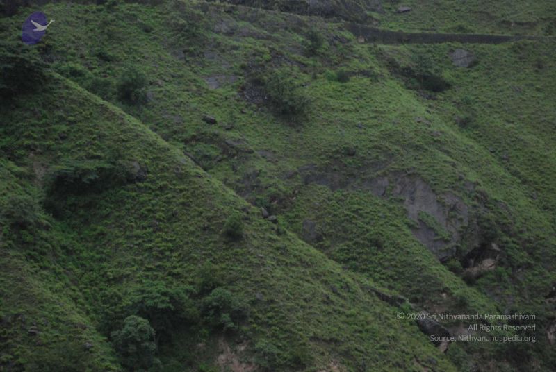 File:20080708 DSC 0624 CMP WM.jpg