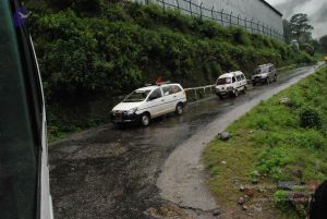 20080708 DSC 0635 CMP WM.jpg