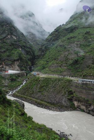 20080708 DSC 0646 CMP WM.jpg