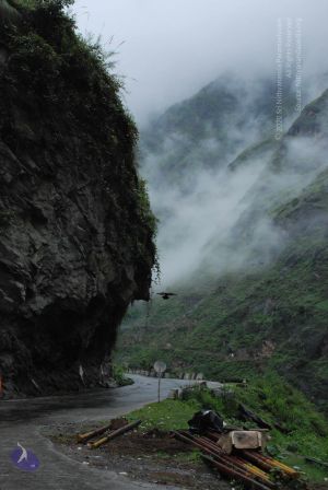 20080708 DSC 0668 CMP WM.jpg