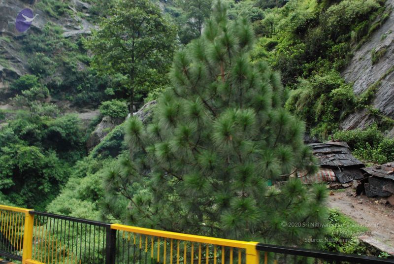 File:20080708 DSC 0702 CMP WM.jpg