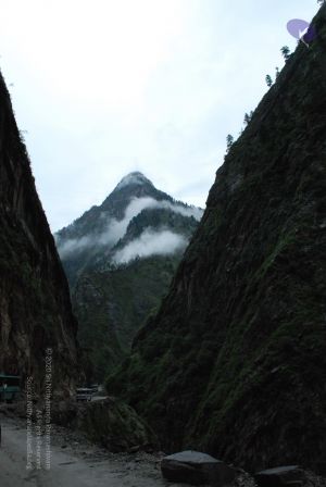 20080708 DSC 0716 CMP WM.jpg