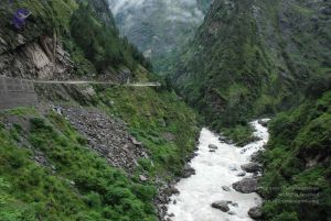 20080708 DSC 0726 CMP WM.jpg