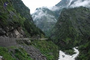 20080708 DSC 0727 CMP WM.jpg