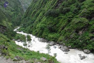 20080708 DSC 0733 CMP WM.jpg