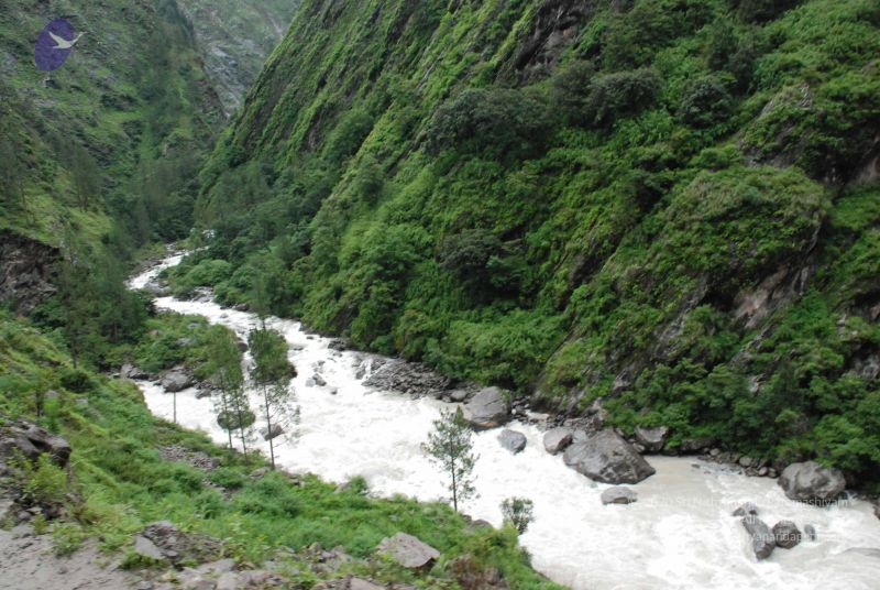 File:20080708 DSC 0733 CMP WM.jpg