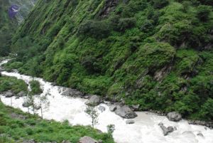 20080708 DSC 0734 CMP WM.jpg