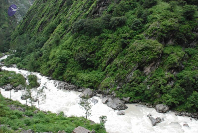 File:20080708 DSC 0734 CMP WM.jpg